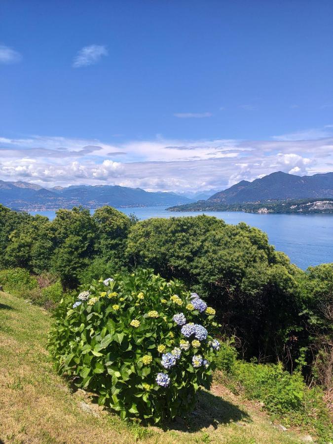 Cloud 9 - Apartment With Stunning Lake View Belgirate Dış mekan fotoğraf